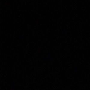 Meet your Posher, Trey